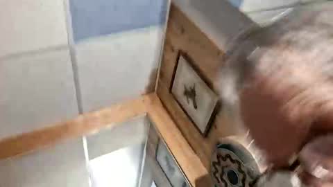 mymyselfandme online show from 3, 11, 2025