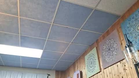 mymyselfandme online show from 10, 11, 2025