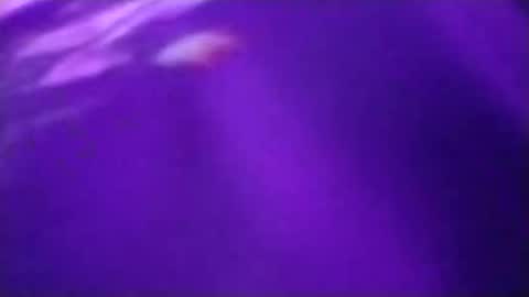 n298033 online show from 23, 9, 2025