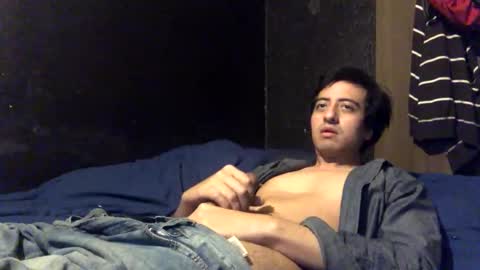 n71gaylove online show from 29, 12, 2024