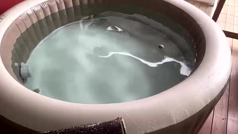 Sexyhotpapa online show from 2, 12, 2024