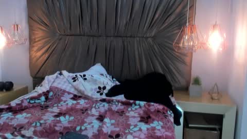 Snapshot of nai_blue chatting on 7, 10, 2025 nai_blue online show from 7, 10, 2025