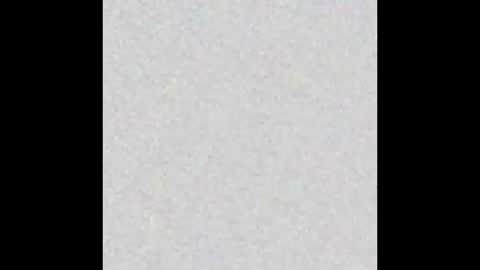 Naia online show from 12, 1, 2026