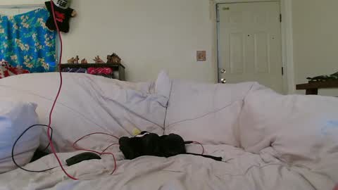 Snapshot of nannabaldur chatting on 17, 12, 2024 Nanna Baldur online show from 17, 12, 2024