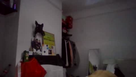 NarcoMarco online show from 11, 11, 2025