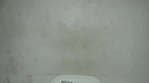 nastyhairy7 online show from 29, 10, 2025