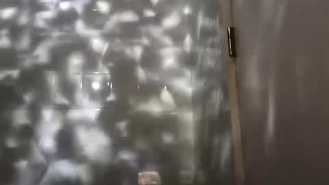 nastysubs69 online show from 25, 12, 2024