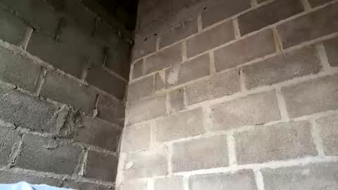 natasha__magics online show from 1, 2, 2026