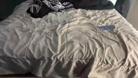 nativesancho online show from 1, 2, 2026