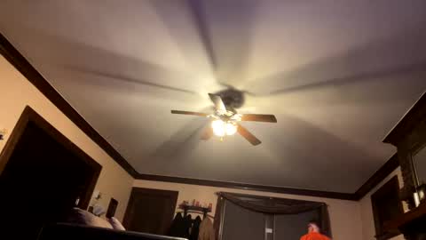 naughtybone online show from 20, 2, 2025