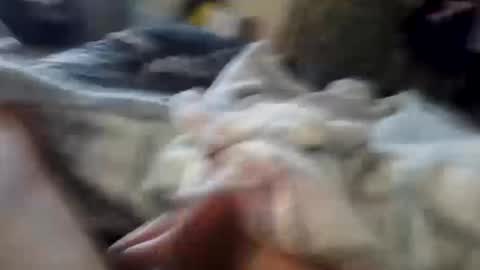 Snapshot of naughtyfelons6969 chatting on 4, 10, 2025 naughtyfelons6969 online show from 4, 10, 2025