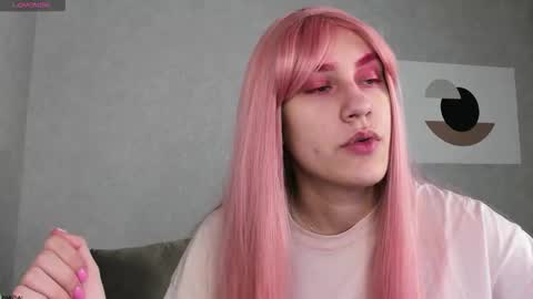 Nedzumi online show from 17, 12, 2025