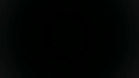 Sebastian online show from 7, 11, 2025