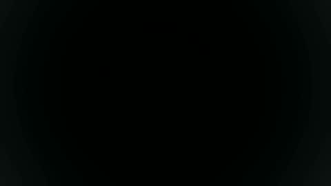 Sebastian online show from 7, 11, 2025