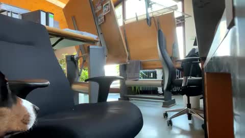 neneo21_ online show from 13, 1, 2025