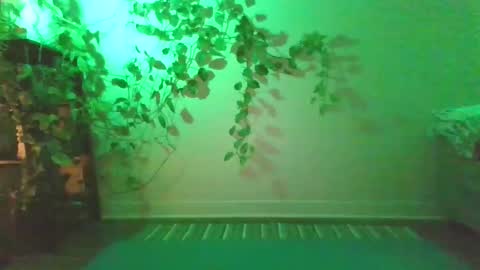 luna online show from 27, 12, 2024