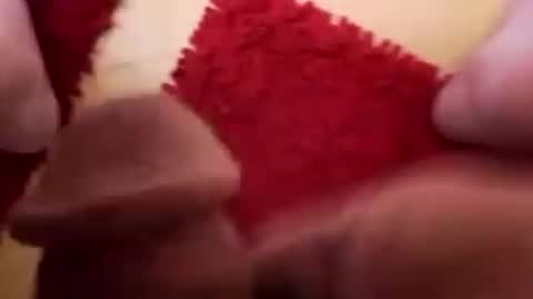 Snapshot of newbookwriter chatting on 2, 12, 2024 BookWriter online show from 2, 12, 2024