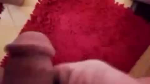 Snapshot of newbookwriter chatting on 12, 12, 2024 BookWriter online show from 12, 12, 2024