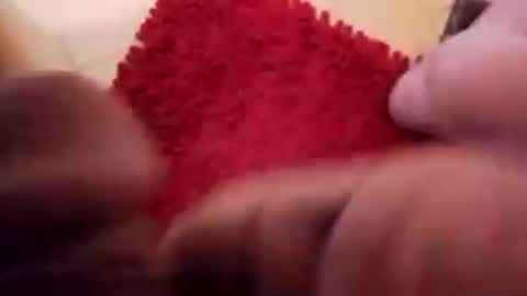 Snapshot of newbookwriter chatting on 13, 12, 2024 BookWriter online show from 13, 12, 2024