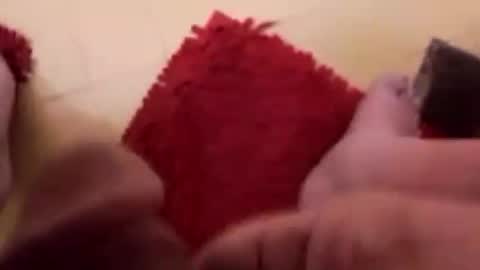 Snapshot of newbookwriter chatting on 12, 2, 2025 BookWriter online show from 12, 2, 2025