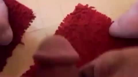 Snapshot of newbookwriter chatting on 24, 2, 2025 BookWriter online show from 24, 2, 2025