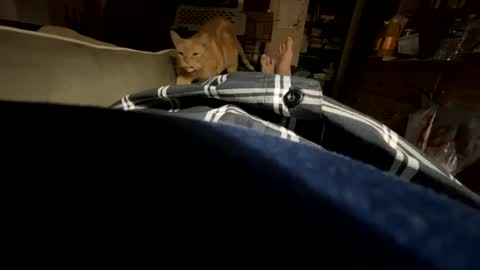 ngianop online show from 23, 10, 2025