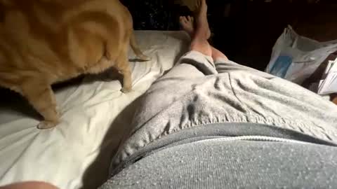 ngianop online show from 12, 4, 2026