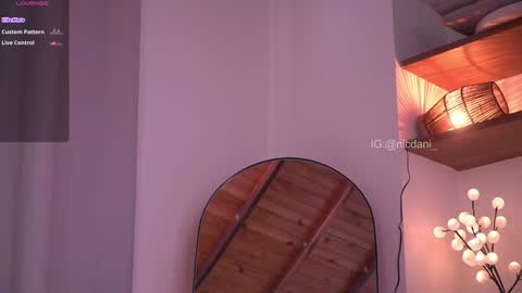 Snapshot of nicdani_1 chatting on 11, 1, 2025 Dani 3 online show from 11, 1, 2025