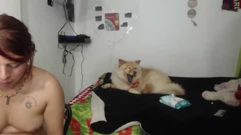 Snapshot of nickyandcam chatting on 11, 4, 2026 Nickyandcam online show from 11, 4, 2026