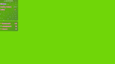 Nicky online show from 8, 12, 2024