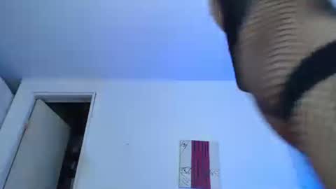 sammy hoot online show from 29, 12, 2024