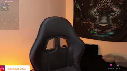 Nicol online show from 13, 11, 2025