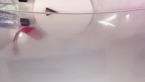 Nicole online show from 13, 10, 2025