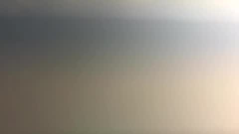 Nicoll  Independent model online show from 21, 12, 2025