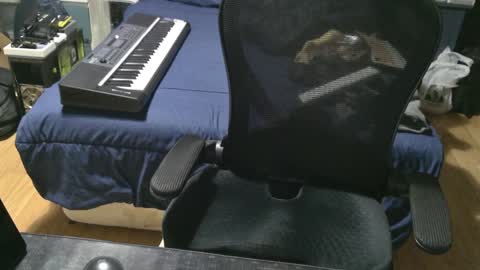 Julian online show from 5, 1, 2025