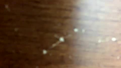 Snapshot of nightmoves1970 chatting on 14, 10, 2025 nightmoves1970 online show from 14, 10, 2025