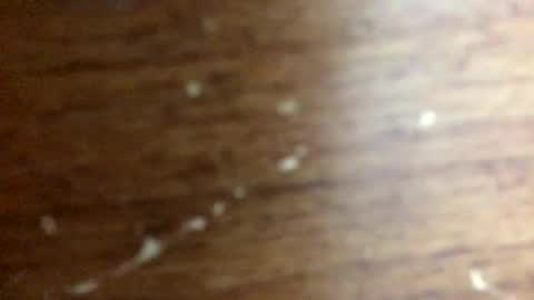 Snapshot of nightmoves1970 chatting on 20, 11, 2025 nightmoves1970 online show from 20, 11, 2025