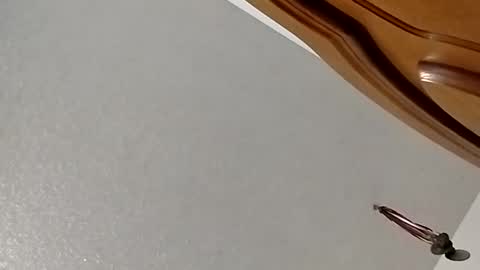 Snapshot of nightnightlol chatting on 11, 2, 2025 nightnightlol online show from 11, 2, 2025