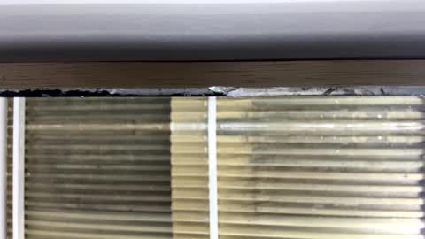 Nikki  online show from 14, 10, 2025