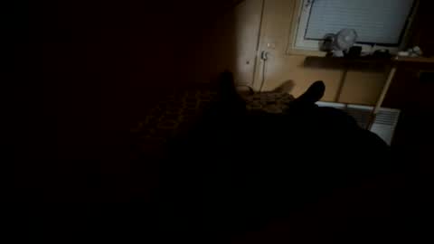 Nikk online show from 20, 9, 2025