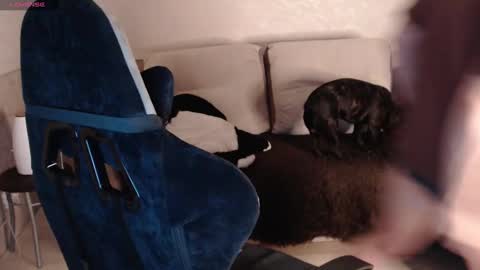 Snapshot of nikolos_vise chatting on 29, 1, 2025 Nikolos online show from 29, 1, 2025