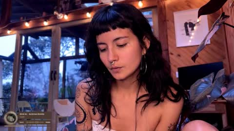 Snapshot of nina_just chatting on 22, 2, 2026 Nina. online show from 22, 2, 2026