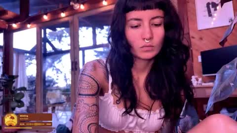 Snapshot of nina_just chatting on 1, 3, 2026 Nina. online show from 1, 3, 2026