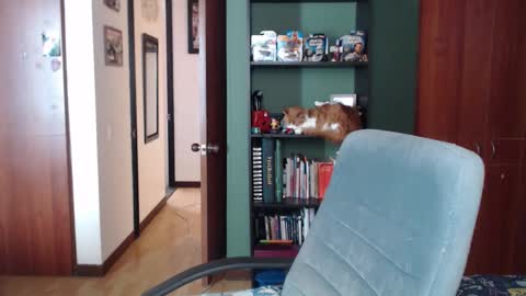 Nina Moon online show from 3, 12, 2025