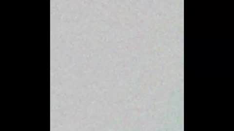 Nina online show from 7, 1, 2026