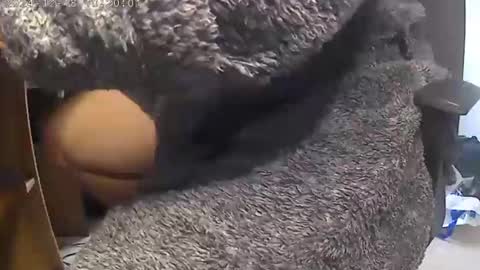 nineinchhard online show from 18, 12, 2024