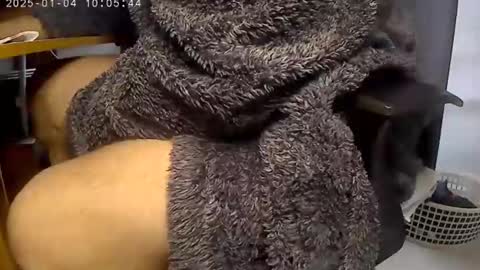 nineinchhard online show from 4, 1, 2025