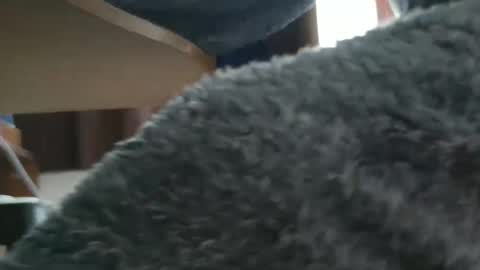 nineinchhard online show from 20, 10, 2025