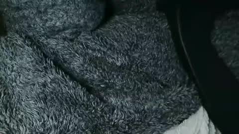 nineinchhard online show from 28, 11, 2025