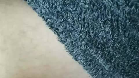 nineinchhard online show from 12, 1, 2026